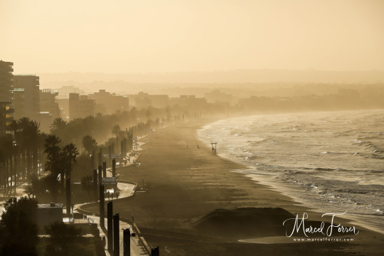 Mallorca_20191221_037