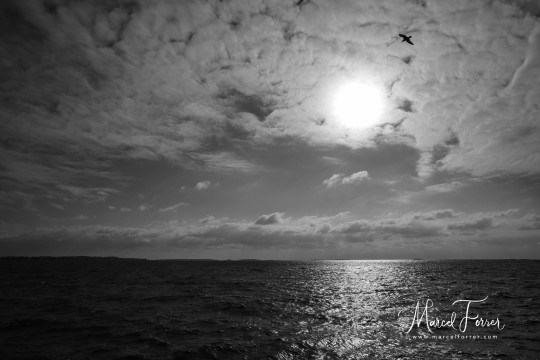 Helsinki_20210930_BML_041