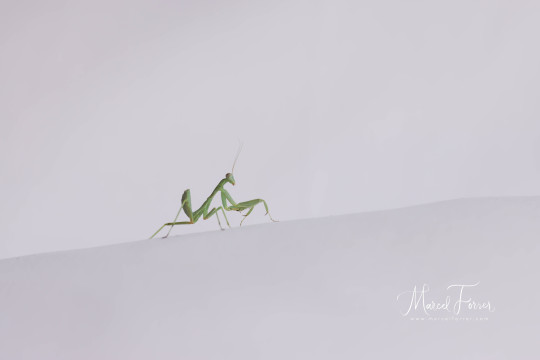 Mallorca_20230619_BML_026