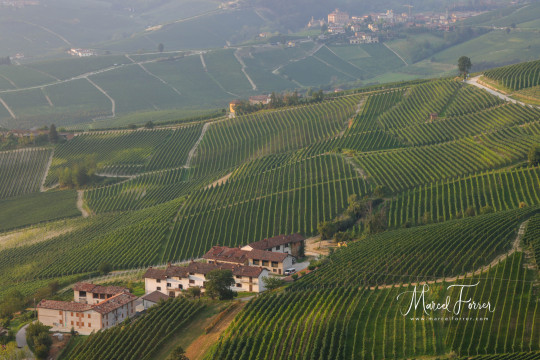 Piemont_20230912_BML_065