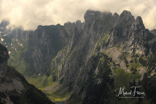 Alpstein_20200704_RD_011