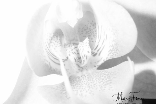 Makro_20050925_BML_001